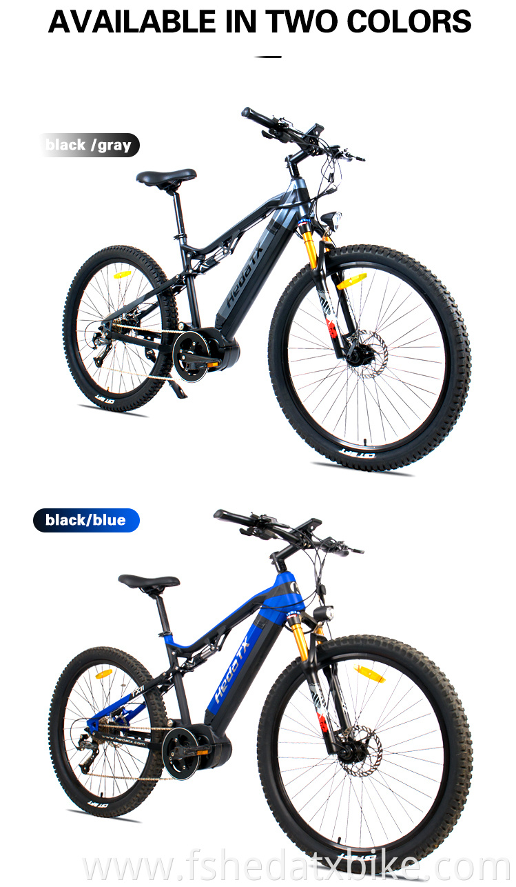 Mountain Electric Bike